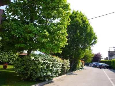 Planimetria di Hotel Belie