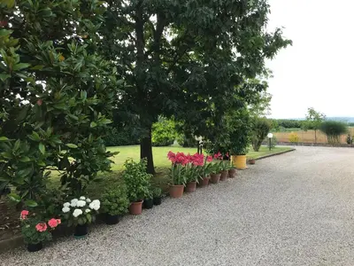 Giardino di Borgo Barucchella