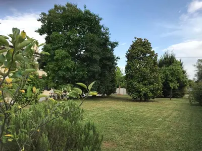 Giardino di Borgo Barucchella