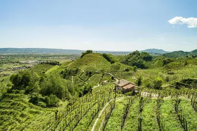Paesaggio naturale nelle vicinanze dell'appartamento