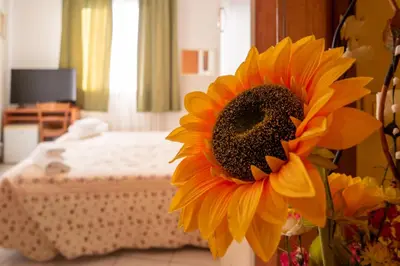 Letto o letti in una camera di B&B New Aurora Venice