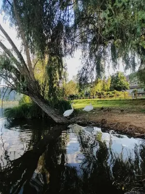 Paesaggio naturale nelle vicinanze dell'appartamento