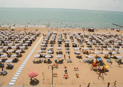 Spiaggia vicina o nei dintorni dell'aparthotel
