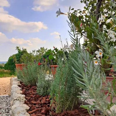 Giardino di Le Vigne di Annalisa Sweet Relax Rooms in Unesco Prosecco D.o.c.g.
