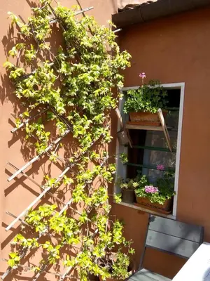 Giardino di Ca' San Silvestro 2 terrazze nel cuore di Venezia