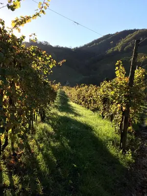 Paesaggio naturale nelle vicinanze dell'appartamento