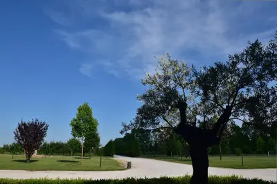 Planimetria di Tenuta Monterosso