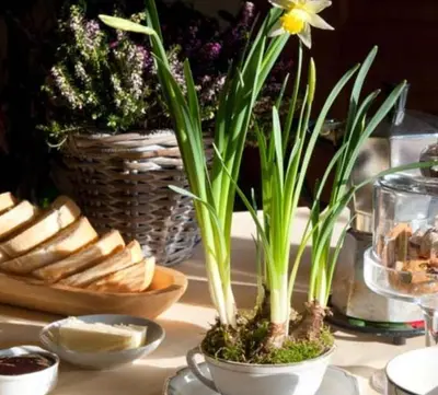 Cibo presso l'agriturismo o nelle vicinanze