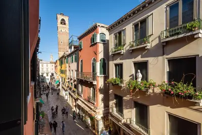 Il quartiere o una zona nella vicinanze dell'appartamento
