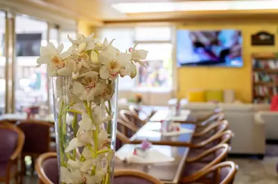 TV o dispositivi per l'intrattenimento presso Hotel Harry's