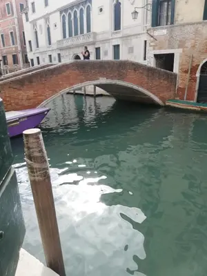 Vista sul fiume nelle vicinanze dell'appartamento