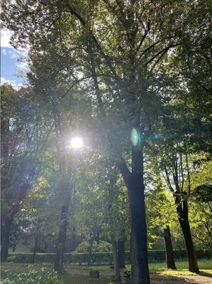 Paesaggio naturale nelle vicinanze dell'appartamento