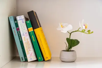 Biblioteca nell'appartamento