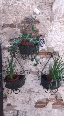Planimetria di Casa vacanze Giorgetta n 4 Open Space