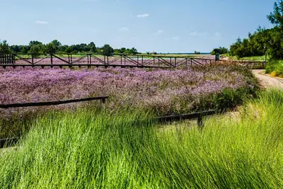 Paesaggio naturale nelle vicinanze della casa vacanze