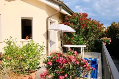 Giardino di Villa Daniela con piscina - Carraro Immobiliare - Family Apartments