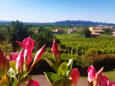 Paesaggio naturale nelle vicinanze dell'appartamento