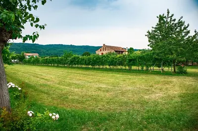 Paesaggio naturale nelle vicinanze dell'affittacamere
