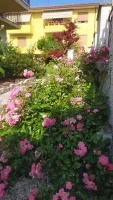 Giardino di Al Casale B&B
