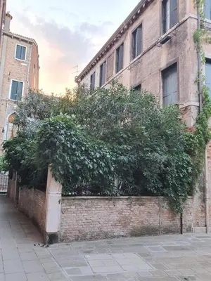 Edificio in cui si trova l'appartamento
