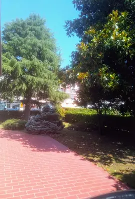 Giardino di 49 Le Contesse Ide