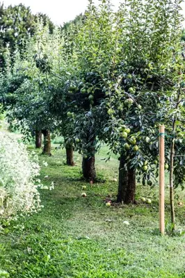 Giardino di Ca' De Memi