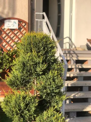 Planimetria di B&B Diana