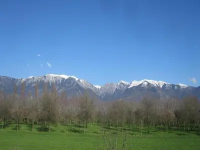 Planimetria di Modern Farmhouse in Pagnano Italy near Forest