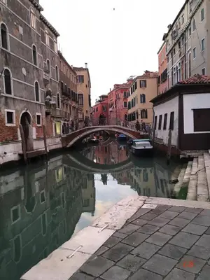 Il quartiere o una zona nella vicinanze dell'appartamento