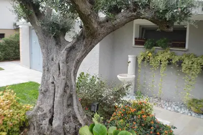 Giardino di Ca' Olivo