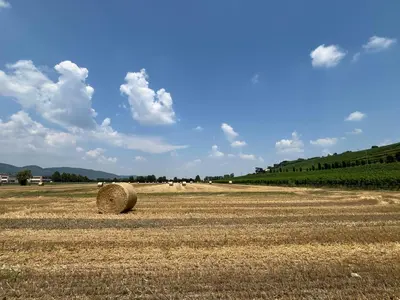 Paesaggio naturale nelle vicinanze dell'appartamento