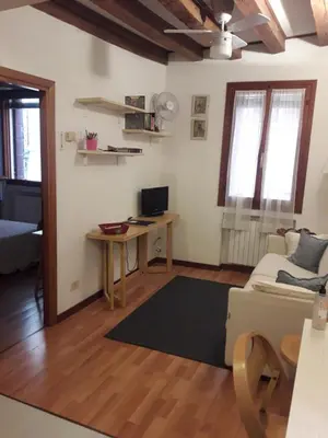 TV o dispositivi per l'intrattenimento presso Venezianamente Apartments - Venice City Centre
