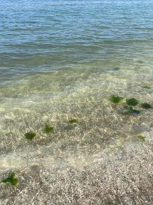 Paesaggio naturale nelle vicinanze dell'appartamento