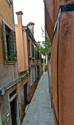 Il quartiere o una zona nella vicinanze dell'appartamento