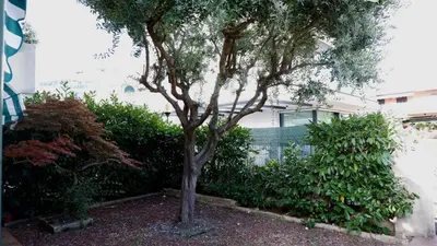 Paesaggio naturale nelle vicinanze dell'appartamento