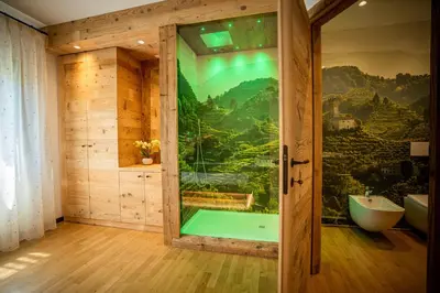 Bagno di GATTO IN VIGNA