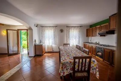 Cucina o angolo cottura di GATTO IN VIGNA