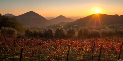 Paesaggio naturale nelle vicinanze del bed & breakfast