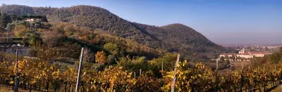 Paesaggio naturale nelle vicinanze del bed & breakfast