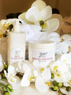 Planimetria di HOTEL la SERENISSIMA TERME & SPA