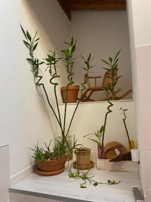 Planimetria di fabio strano