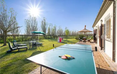 Attrezzature per ping pong presso Ibisco o nelle vicinanze