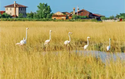 Paesaggio naturale nelle vicinanze dell'appartamento