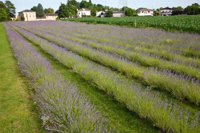 Giardino di TerraLuna