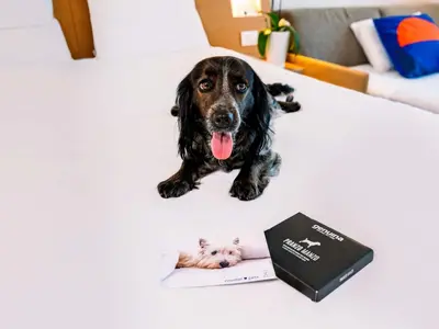 Ospiti di Novotel Venezia Mestre Castellana con animali domestici