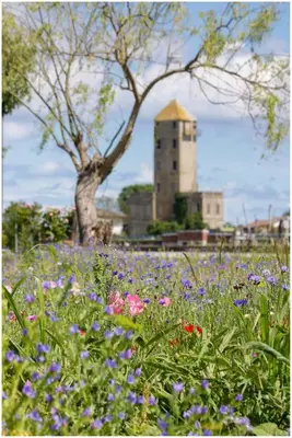 Planimetria di Appartamento Alla Torre 162