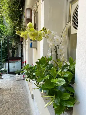 Giardino di Hotel Apostoli Garden