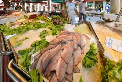 Cibo presso l'appartamento o nelle vicinanze