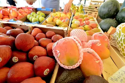 Cibo presso l'appartamento o nelle vicinanze