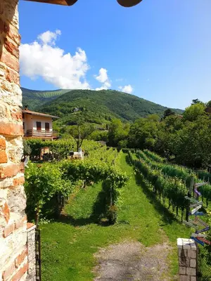 Paesaggio naturale nelle vicinanze dell'affittacamere